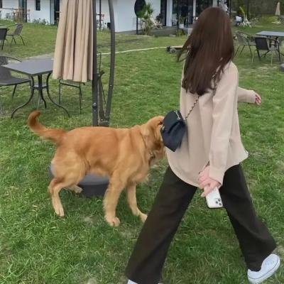 动画片